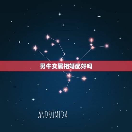 男牛女属相婚配好吗，男属牛与女属马婚配如何