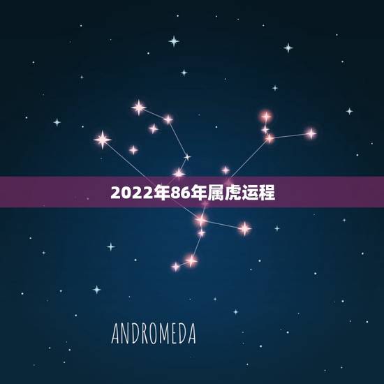 2022年86年属虎运程,1986年属虎运程 2022年86年属虎运程,1986年属虎运程