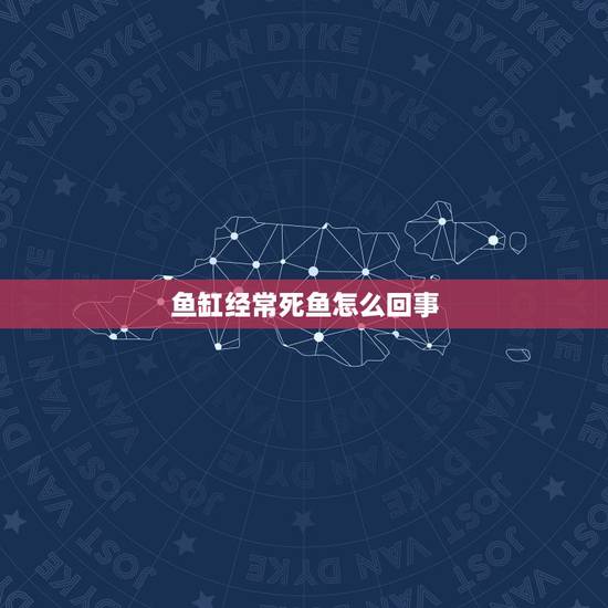 鱼缸经常死鱼怎么回事，鱼缸换了过滤器材换水就死鱼怎么回事？