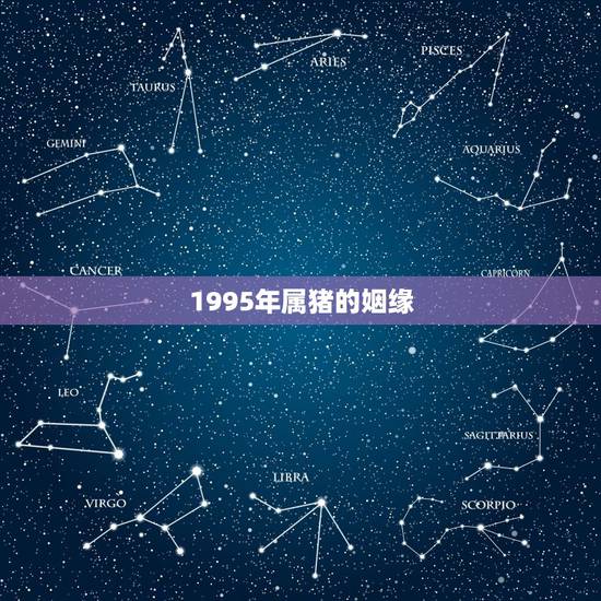 1995年属猪的姻缘,95属猪姻缘何时到 1995年属猪的姻缘,95属猪姻缘何时到