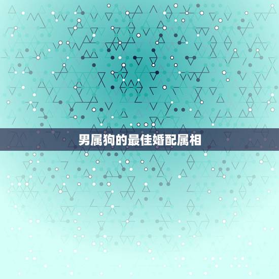 男属狗的最佳婚配属相,属相属狗的婚配什么属相最好 男属狗的最佳婚配属相,属相属狗的婚配什么属相最好