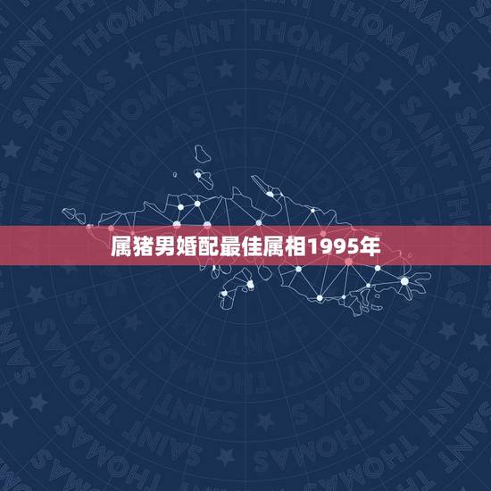 属猪男婚配最佳属相1995年，1995年属猪的和什么属相最配
