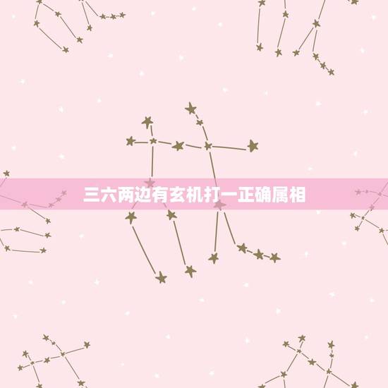 三六两边有玄机打一正确属相，三六两边开是什么生肖