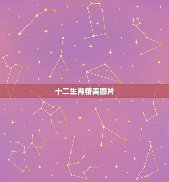 十二生肖精美图片,十二生肖高清图片在哪找 十二生肖精美图片,十二生肖高清图片在哪找