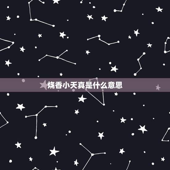烧香小天真是什么意思,小天真是什么意思 烧香小天真是什么意思,小天真是什么意思