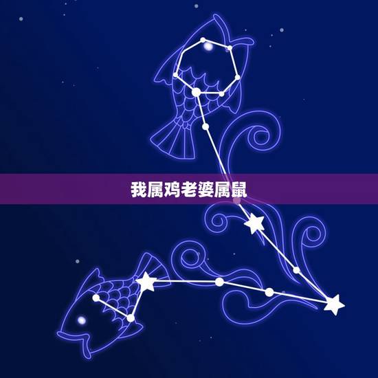 我属鸡老婆属鼠，属鸡27岁和属鼠24岁婚姻