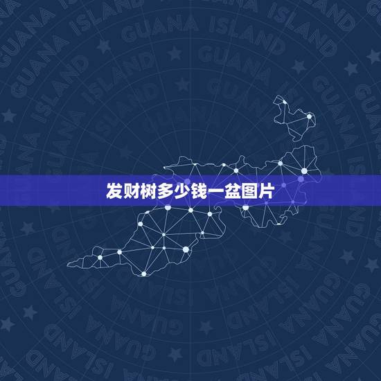 发财树多少钱一盆图片,发财树多少钱一棵? 发财树多少钱一盆图片,发财树多少钱一棵?