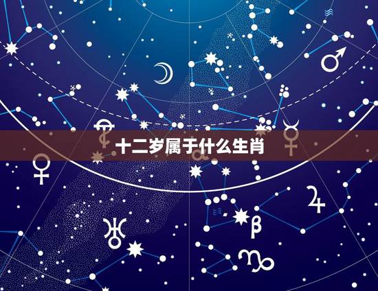 十二岁属于什么生肖,今年12岁是哪年出生 十二岁属于什么生肖,今年12岁是哪年出生