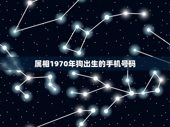 属相1970年狗出生的手机号码，属狗的用什么手机号