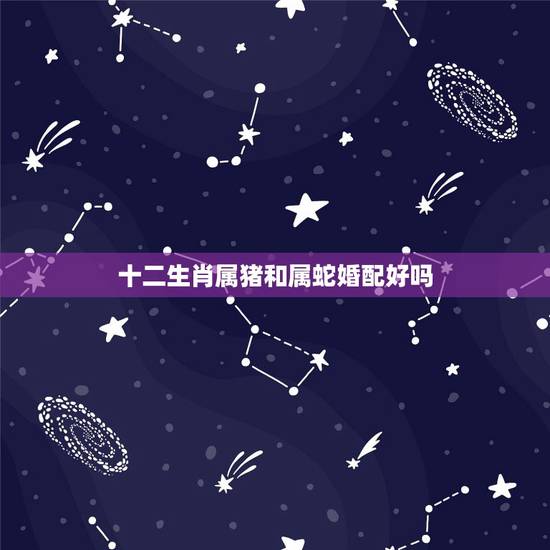 十二生肖属猪和属蛇婚配好吗，十二生肖属蛇与属猪的合作有没有财运