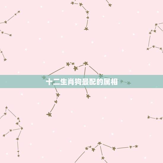 十二生肖狗最配的属相,狗与什么属相最配 十二生肖狗最配的属相,狗与什么属相最配