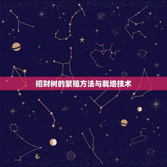 招财树的繁殖方法与栽培技术，发财树主干扦插