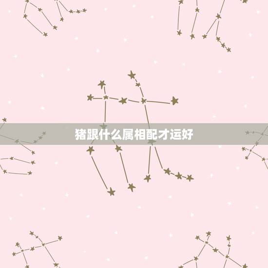 猪跟什么属相配才运好,猪跟什么属相配 猪跟什么属相配才运好,猪跟什么属相配