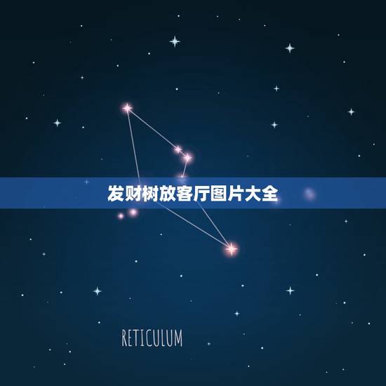 发财树放客厅图片大全,发财树放客厅什么位置好 发财树放客厅图片大全,发财树放客厅什么位置好