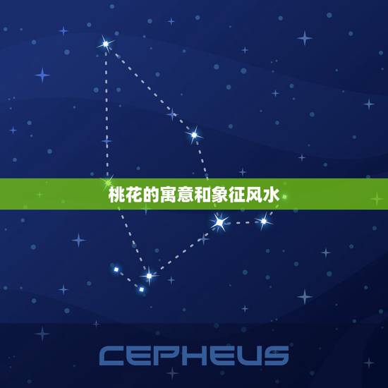 桃花的寓意和象征风水，桃花为什么代表爱情