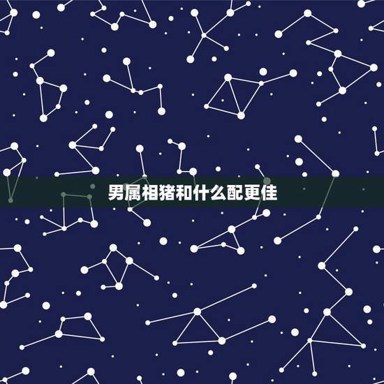 男属相猪和什么配更佳,女鼠跟哪个属相最配 男属相猪和什么配更佳,女鼠跟哪个属相最配