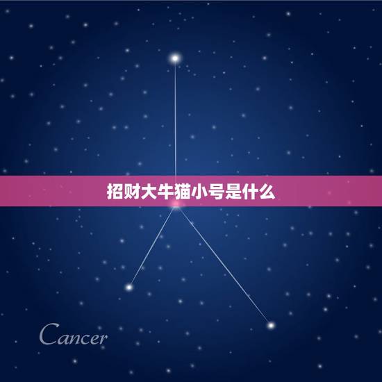 招财大牛猫小号是什么，比较好的微信公众号有哪些？最好是财经类的