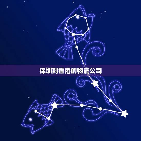 深圳到香港的物流公司，谁知道从深圳到香港的物流公司哪家时效快？