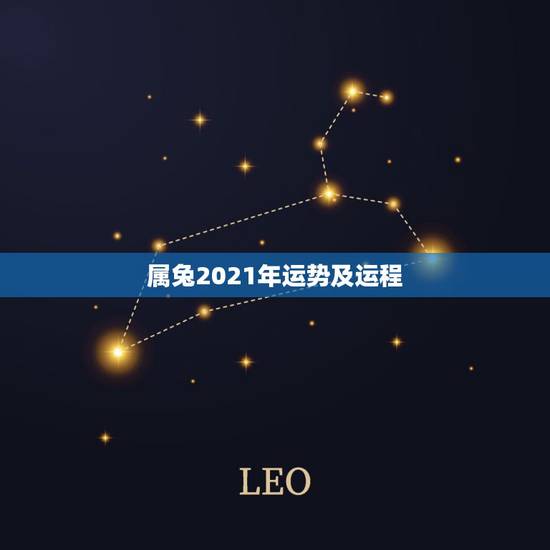 属兔2021年运势及运程，2021年属兔的运势和财运
