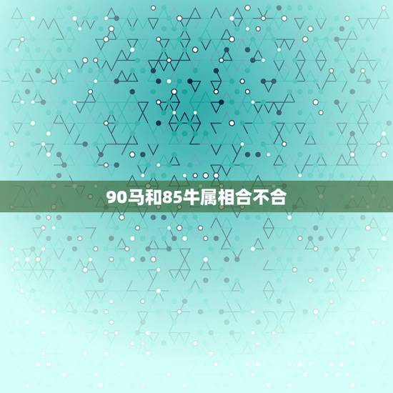90马和85牛属相合不合
