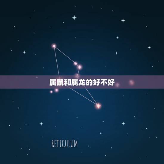 属鼠和属龙的好不好,属龙的和属鼠的相配吗 属鼠和属龙的好不好,属龙的和属鼠的相配吗