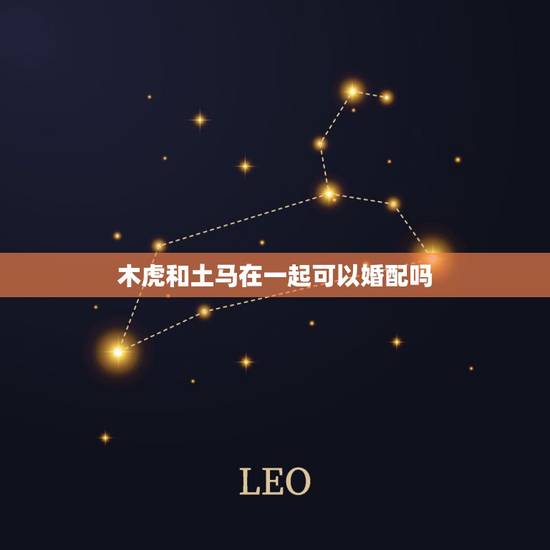 木虎和土马在一起可以婚配吗,木虎和火龙命婚配如何 木虎和土马在一起可以婚配吗,木虎和火龙命婚配如何