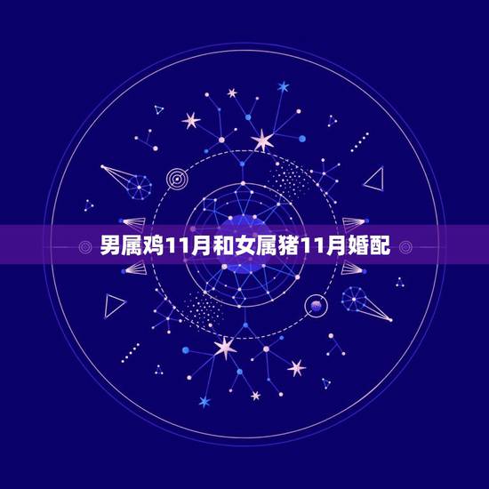 男属鸡11月和女属猪11月婚配,男属鸡11月23和女属猪11月28相配 男属鸡11月和女属猪11月婚配,男属鸡11月23和女属猪11月28相配