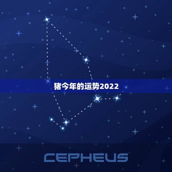 猪今年的运势2022,2022年运势最好的生肖 猪今年的运势2022,2022年运势最好的生肖