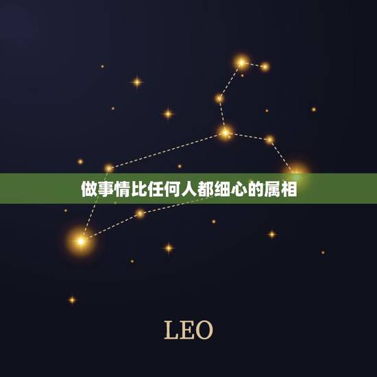 做事情比任何人都细心的属相，十二生肖中胆大心细的是哪个生肖？