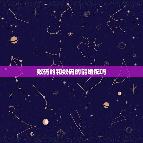 数码的和数码的能婚配吗,婚配。猜一个数字? 数码的和数码的能婚配吗,婚配。猜一个数字?