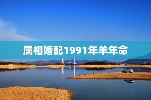 属相婚配1991年羊年命，1991年属羊男孩要配哪个属相合婚呢？