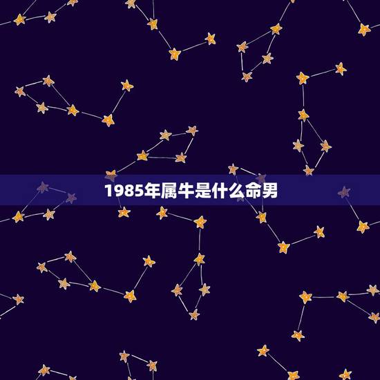 1985年属牛是什么命男，属牛1985年什么命