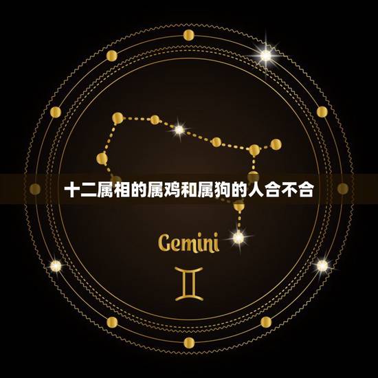 十二属相的属鸡和属狗的人合不合，属鸡的和什么属相不适合结婚