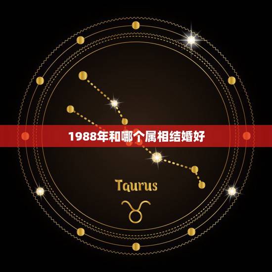 1988年和哪个属相结婚好，男龙1988年5月18日与哪个属相婚配最合