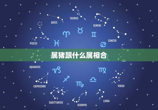 属猪跟什么属相合，猪跟哪个生肖最配对
