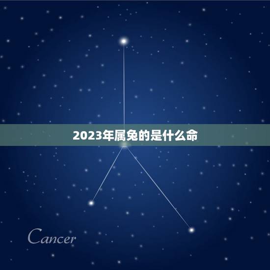 2023年属兔的是什么命,2023年属兔几月出生好 2023年属兔的是什么命,2023年属兔几月出生好