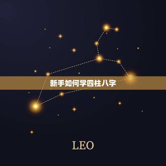 新手如何学四柱八字，我想学习四柱八字预测，请教入门应学什么？