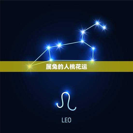 属兔的人桃花运，属兔人的财运