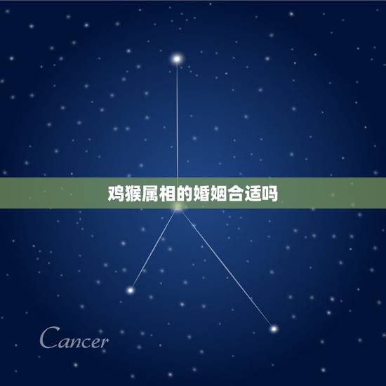 鸡猴属相的婚姻合适吗,属鸡和属猴相配吗 鸡猴属相的婚姻合适吗,属鸡和属猴相配吗