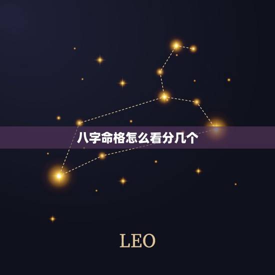 八字命格怎么看分几个，命格查询表格
