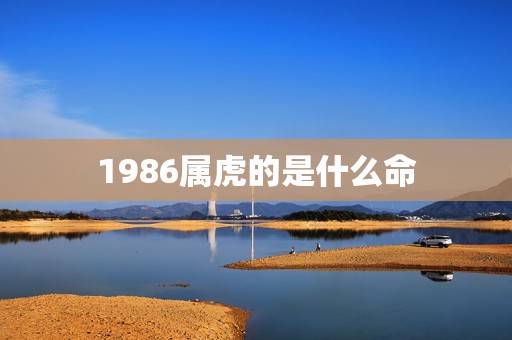 1986属虎的是什么命，1988属猴的是什么命