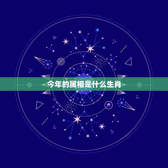 今年的属相是什么生肖，今年是生肖是什么年