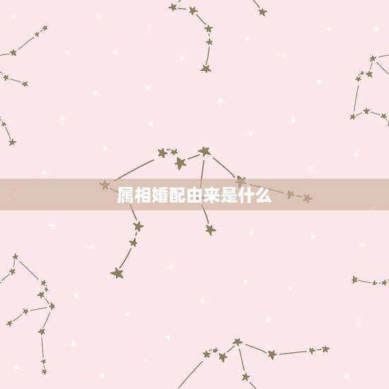 属相婚配由来是什么,属相婚配是怎么回事? 属相婚配由来是什么,属相婚配是怎么回事?