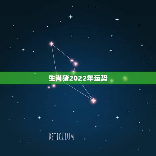 生肖猪2022年运势,1970年生肖狗2022 年下半年运势 生肖猪2022年运势,1970年生肖狗2022 年下半年运势