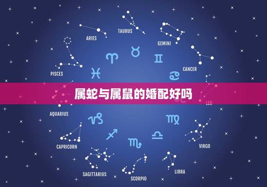 属蛇与属鼠的婚配好吗,属蛇跟属鼠相冲吗? 属蛇与属鼠的婚配好吗,属蛇跟属鼠相冲吗?