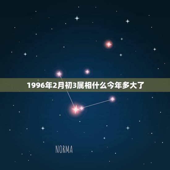 1996年2月初3属相什么今年多大了,1996年2月属什么属相? 1996年2月初3属相什么今年多大了,1996年2月属什么属相?