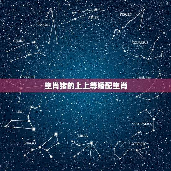 生肖猪的上上等婚配生肖,生肖猪与猪婚配合吗 生肖猪的上上等婚配生肖,生肖猪与猪婚配合吗