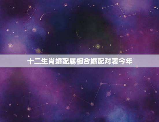 十二生肖婚配属相合婚配对表今年，2020十二生肖配对表