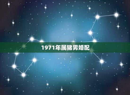 1971年属猪男婚配，71年属猪男和70年属狗女能配合吗？性格方面怎么
