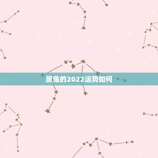 属兔的2022运势如何，2021年属兔人的运程如何？